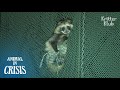 Wild Raccoon Dangles From A 20-Meter High Net Almost Got Hit By A Ball | Animal in Crisis EP102