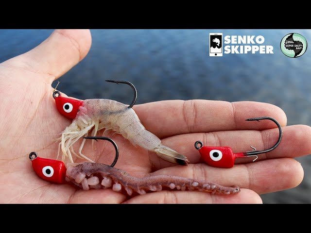 This Fishing Rig catches EVERYTHING! Saltwater Inshore Fishing 