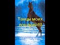 Счастье - это мои Арабские лошади  Happiness is my Arabian horse