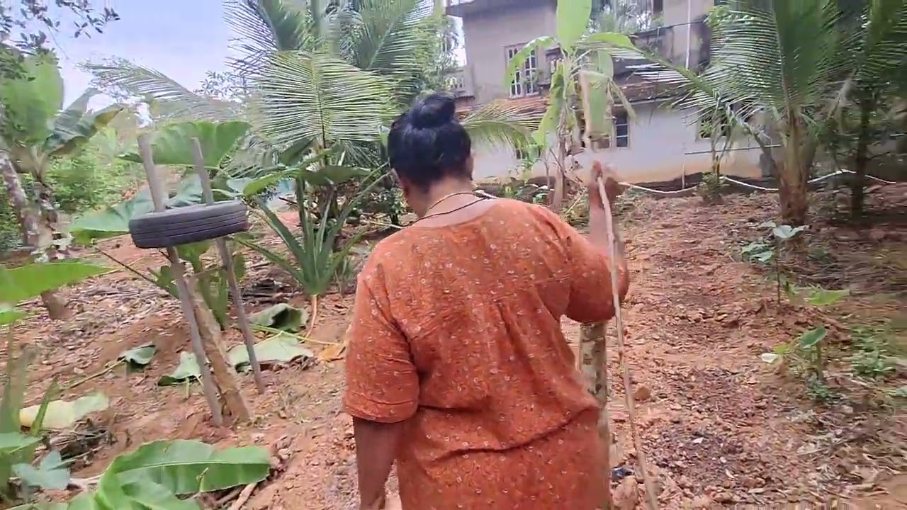 തോട്ടത്തിലൂടെ ഒരു യാത്ര 