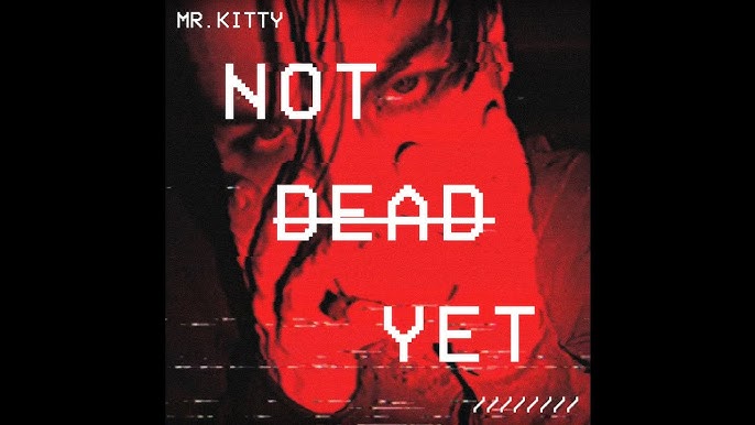 Mr. Kitty interview & live performance by Michael Nagy 