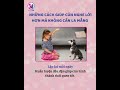 🐶 “Không cần la mắng – chỉ cần đúng cách, cún vẫn nghe lời và ngoan hơn mỗi ngày.”