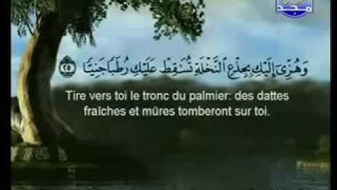 سورة مريم كاملة الشيخان السديس و الشريم (الحرم المكي)