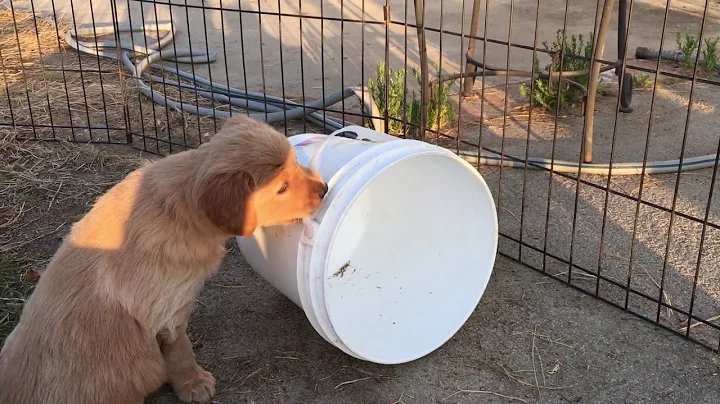 Rolling the bucket