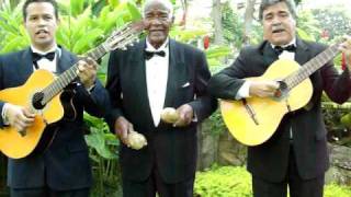 Trio de Boleros (Linda) Los Imperiales- serenata (trio de guitarras)