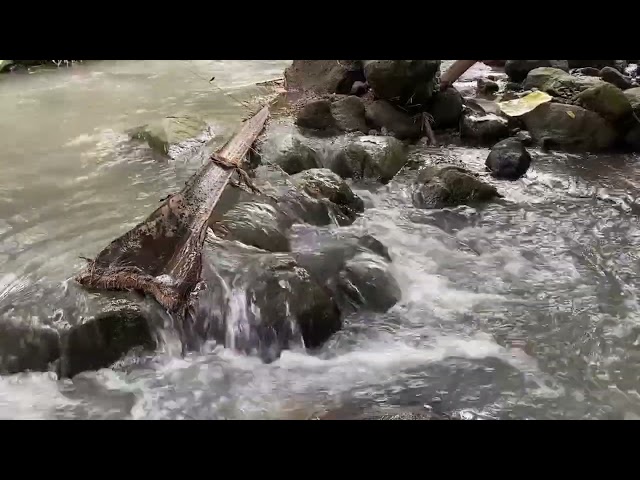 Calming River Sounds for Sleeping | Peaceful Water Flow White Noise