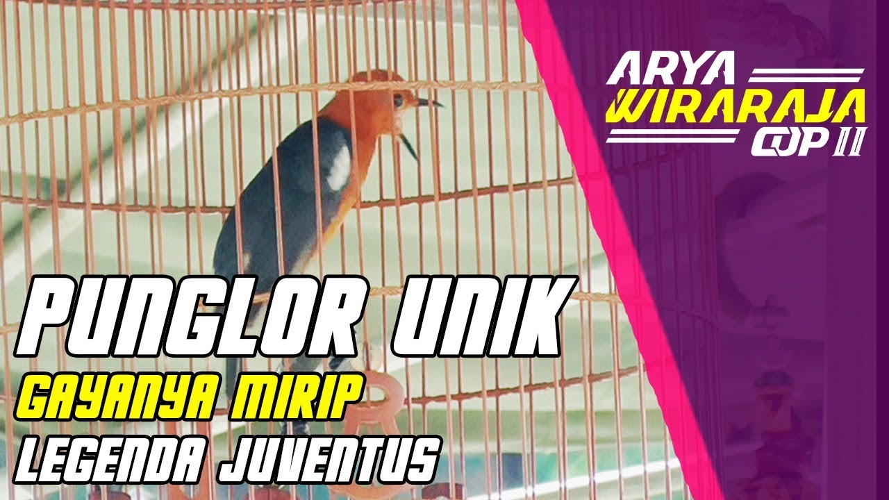 suara anis merah juventus