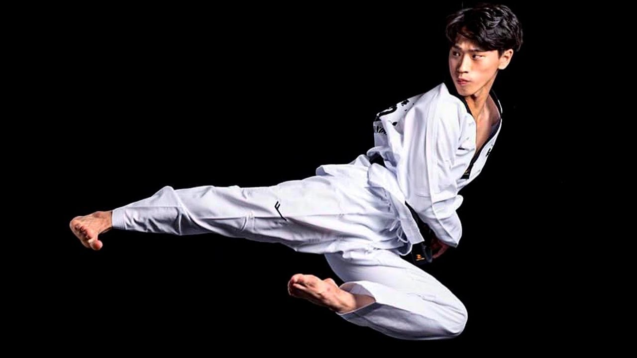 Korea Taekwondo Tiger Insane Taekwondo Kicks Tkd Action Youtube