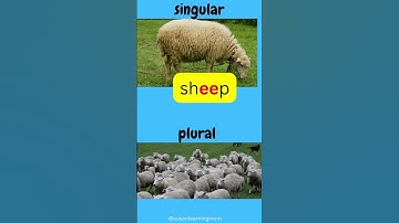 轻松学习 Get Smart Plus 3 Module 7 Out and About Plural nouns pg67