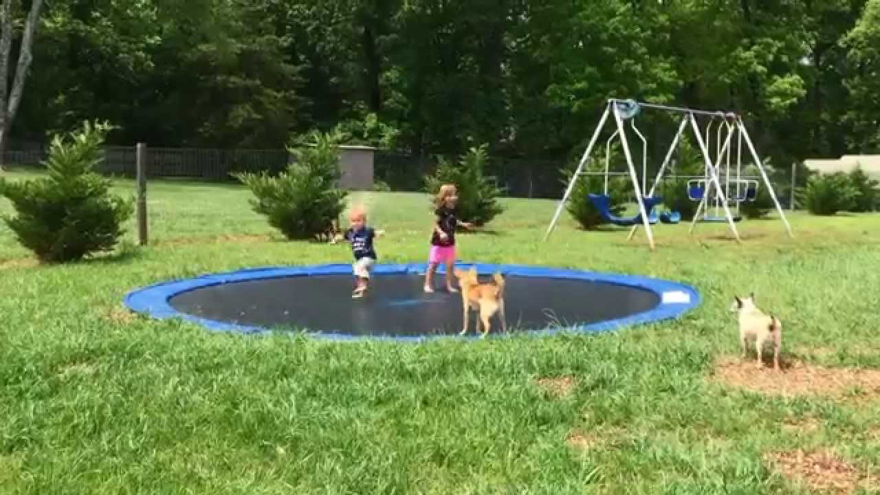 nedgravd trampoline