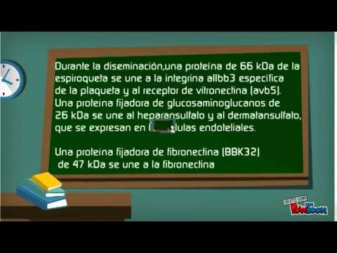 Video: Yhteisön Johtama HIV-itsetestauksen Toimittaminen Parantamaan HIV-testausta, ART-aloitusta Ja Laajempia Sosiaalisia Tuloksia Maaseudun Malawissa: Tutkimusprotokolla Klusterin Mukaa