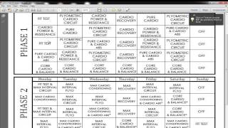 Download Insanity Workout program for FREE