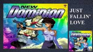 Video thumbnail of "New Dominion Tank Police - Just Fallin love HD completa"