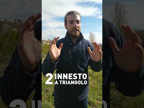 Video: 4 modi per creare un calendario di giardinaggio