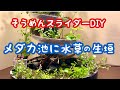 そうめんスライダー庭園に水草生垣を作りました【アクアリウムDIY】aquarium