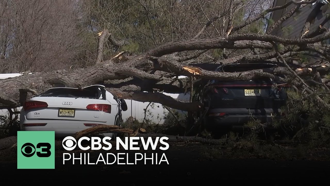 Cleanup continues in South Jersey after strong winds knock down trees ...