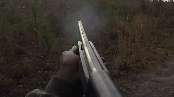 The old 1187 show up today( kill shot)
