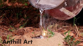 Casting A Fungus Farming Ant Colony With Molten Aluminum Cast