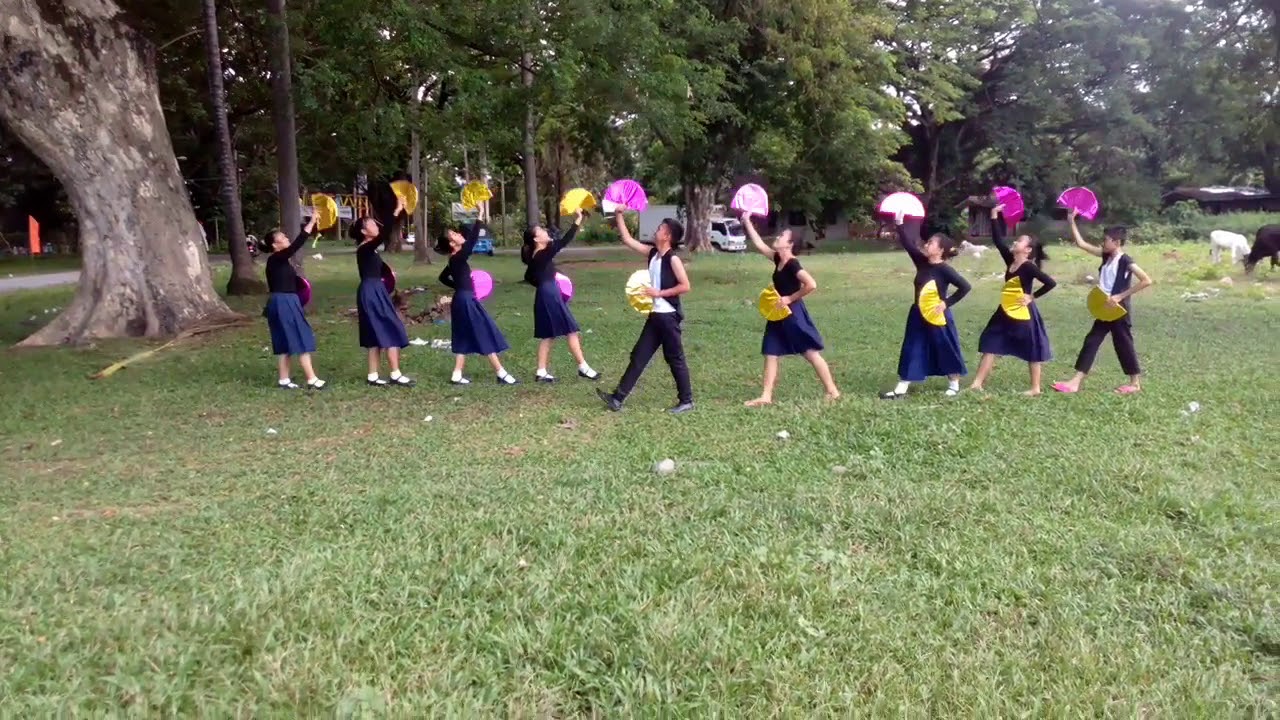 Sua Ku Sua My Pomelo Tree YouTube