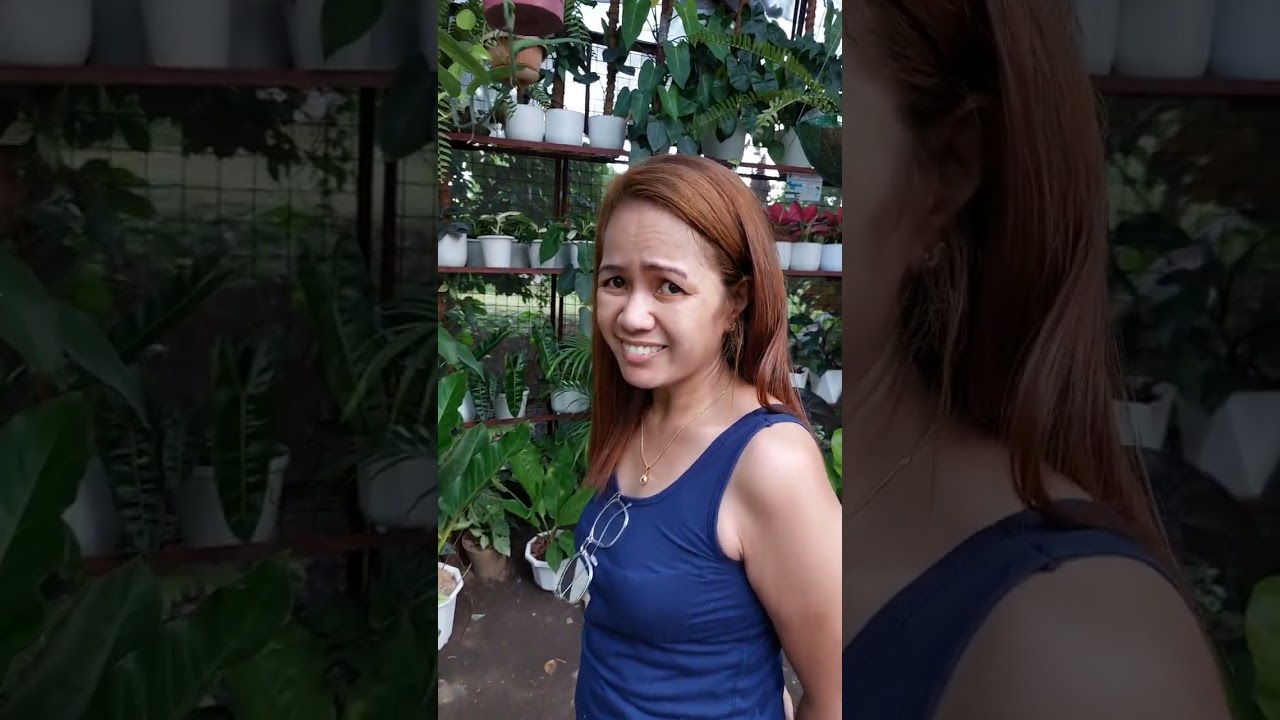 Boy skincare to Plantita