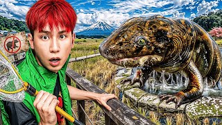 HI-END | Exploring unusual animals in "Japanese rice fields": A mountain bear roared at night...a... screenshot 1