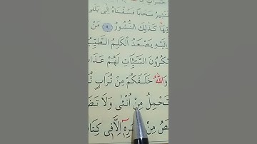 سورة فاطر الأية 10 إلى 11 القارئ سعد الغامدي