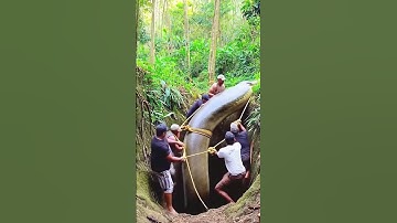 é impressionante a força de uma sucuri gigante #viral #amazonia #cobra #sucuri #anaconda