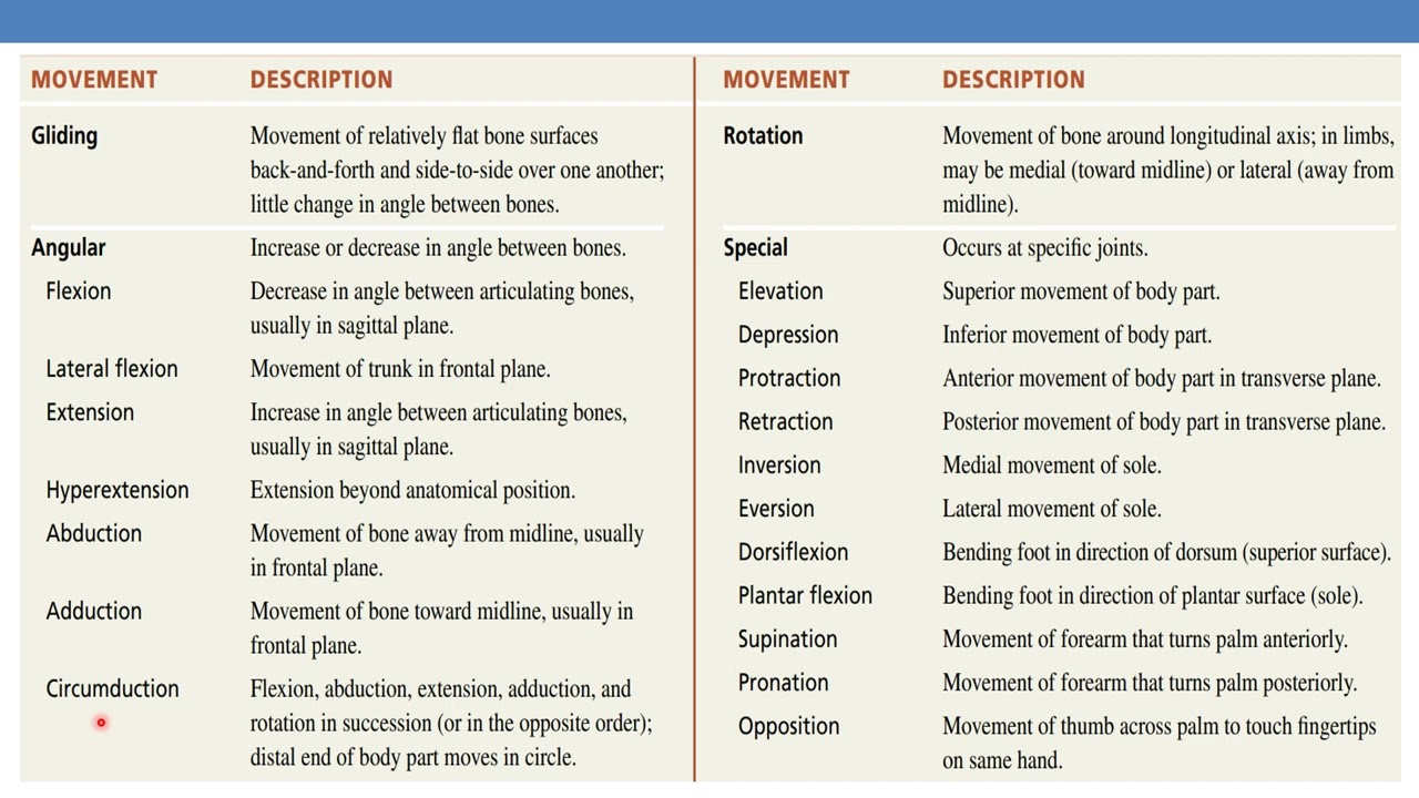 Pronation-supination movement angle.