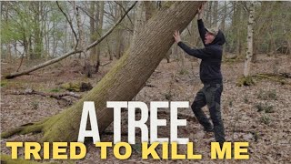 Trees are SCARY! | Forest Wild Camp | Thai Green Curry | Hammock Camping
