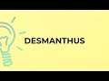 What is the meaning of the word DESMANTHUS?