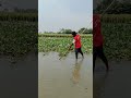 #fishing