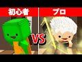 初心者 VS プロ【脱獄ごっこ】