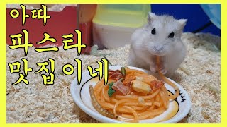 Have you heard of it? Hamster pasta!