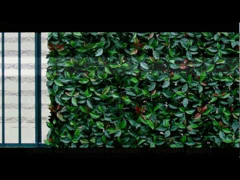 Siepe Sempreverde Finta Artificiale: Vantaggi, consigli ed Esempi di utilizzo Siepe Sempreverde Finta Artificiale: Vantaggi, consigli ed Esempi di utilizzo