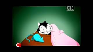 Cartoon Network Philippines - Continuity July 29, 2024