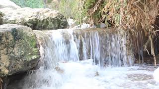 صوت ماء نهر صغير منظر طبيعي جميل جدا  استرخاء nature Sounds Calming of Water Relaxation Meditation