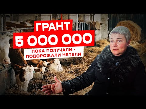 Как правильно планировать грант? | Грант на развитие сельского хозяйства