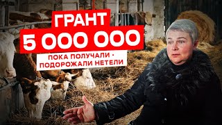 Как правильно планировать грант? | Грант на развитие сельского хозяйства