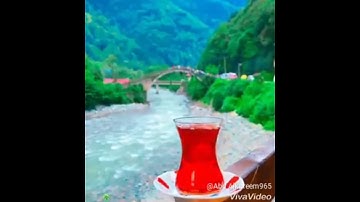 القارئ محمود بدوي عساف