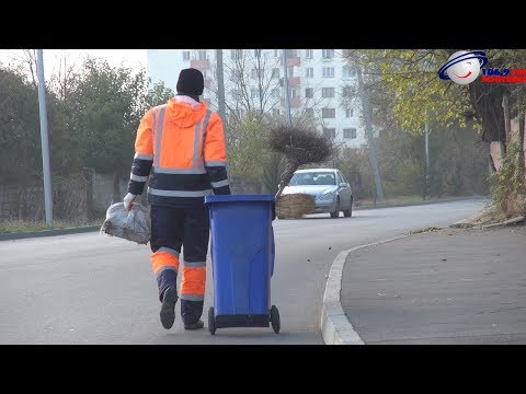 მეეზოვეების ერთი სამუშაო დღე