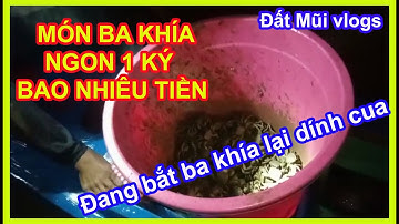 Soi Ba Khía Ban Đêm – Thu Hoạch Hàng Chục Ký, Bắt Được Cua Khủng!