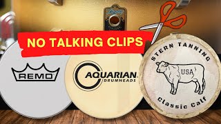 Short Version - Remo Ambassador, Aquarian Vintage Vs Calfskin Heads - Leedy Snare Drum