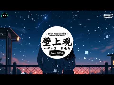 壁上观 (抖音DJ版) - 一棵小葱、张曦匀「一剎那栩栩縷影浮光映宮闕，錯問今夕是何年。」一听就上头的BGM ♪ || 快手热门摇BGM | 抖音熱門 | 最近热门音乐 | 抖音 | TikTok ♪