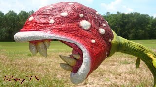 5 Halaman na Kumakain ng Insekto at Hayop - Carnivorous Plants 5 Halaman na Kumakain ng Insekto at Hayop - Carnivorous Plants