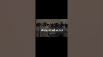 الشيخ محمد اللحيدان ❤️‍🩹🎧 #محمداللحيدان #تلاوة_خاشعة #صلوا_على_رسول_الله #قران #مسلم #quran #islam