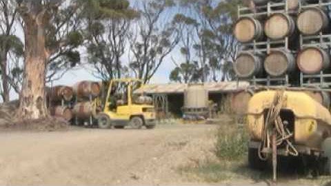 Instant Quality Control throughout the winemaking process