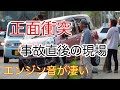 【正面衝突】 事故直後の現場 エンジンの音が凄い [Front collision] Immediately after the accident The sound of the engine is