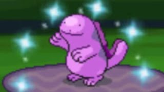 safari week 15 live shiny quagsire after only 731 res in the great marsh win or fail