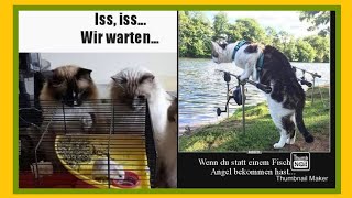 ?Der Montag wird nicht lustig sondern saulustig...lassen wir's krachen.