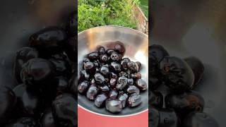 😱Guise guess kro kaun sa fruit hai        |villege life| #youtubeshorts #shorts #shortvideo #viral